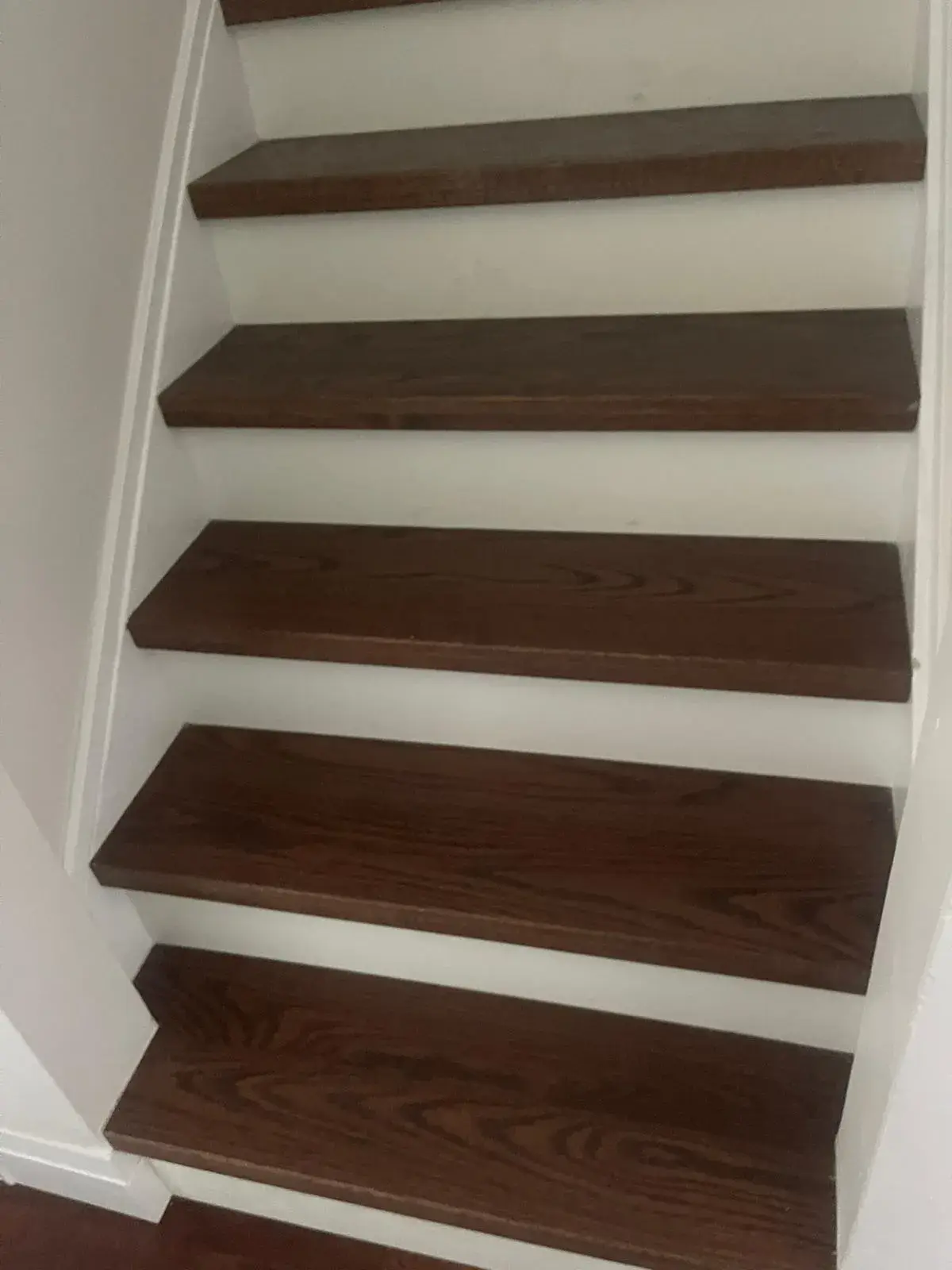New stained hardwood stair treads with white risers